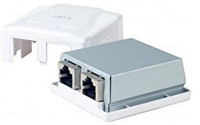 Dexlan Boitier mural Cat6 contact CAD 2 ports RJ45 blindés