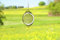 Berk Edelstahl Mobile Blume des Lebens mit Kristallen, 15 cm