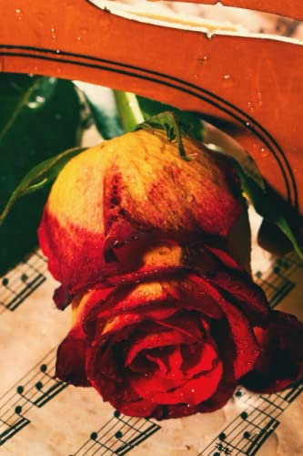 Violin & Rose Journal
