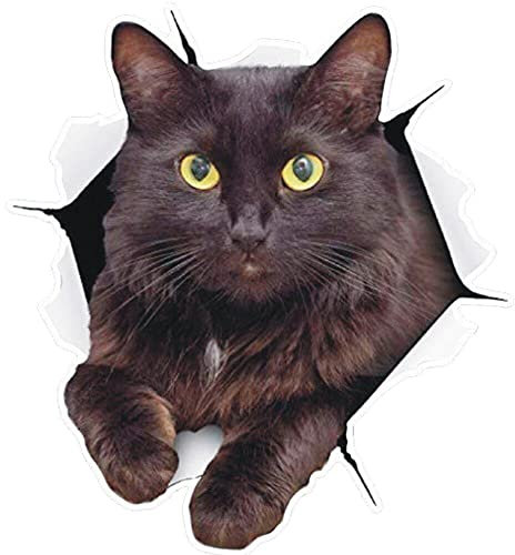 Wudaizhi Adesivi per Auto Autodesivi Discali per Gatti Neri Divertenti con Graffi di Copertura Impermea