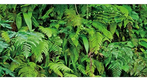 MIRRORANG 180x61cm Fond de Terrarium Tropical Plantes Tropicales Feuilles Fond d'aquarium forêt Tropicale Habitat de Reptiles Fond Fond de Vinyle Durable
