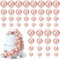 BOUBONI 48 Pcs Balls Cake Topper Decorations Balloon Cupcake Toppers Foam Cake Topper Balls Cake Balls Decorations for Birthday Party Wedding (Rose Gold)