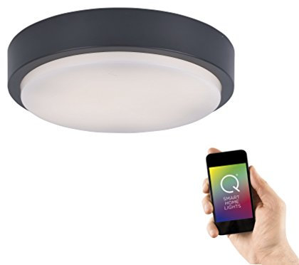 Paul Neuhaus, Q-Lenny, LED Deckenleuchte, Ø36,5cm, Staub- und Strahlwassergeschützt, Alexa-fähig, Smart Home, Außenleuchte dimmbar mit Fernbedienung, RGB-Farbwechsel, warmweiss, rund, anthrazit