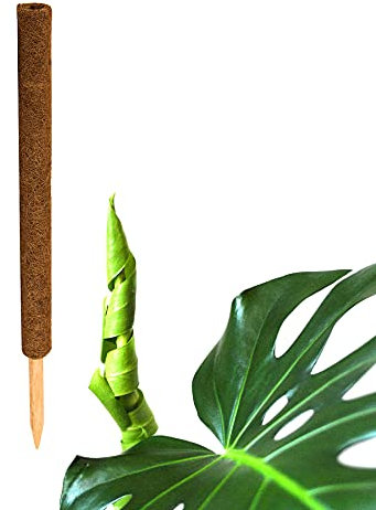 BigDean Pflanzstab Kokos 60 cm - Monstera Rankhilfe Rankstab Stab Moosstab Pflanzenstab Kokosstab für Pflanzen - aus natürlicher Kokosfaser - verlängerbar