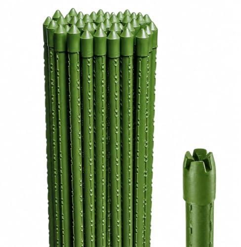Virsus 50 Canne in Acciaio con Rivestimento in Plastica Verde, Lunghezza 150 cm, diametro 11 mm, Stecche Sostegno per piante Rampicanti, Ortaggi, Pomodori, per giardino, orto -6401F