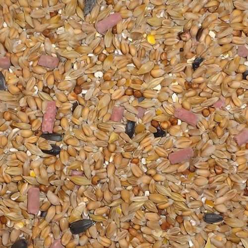 Leagrams Original Wild Bird Seed Mix (12.6kg) - High Energy Garden Bird Food