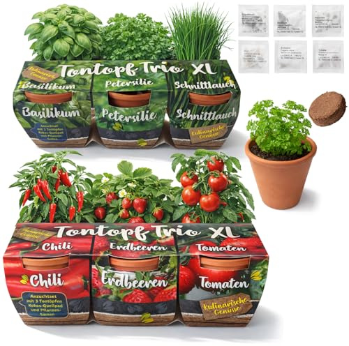 com-four® 6 vasi in terracotta con semi e terriccio – mini serra per peperoncino, fragola, pomodoro, basilico, prezzemolo ed erba cipollina – kit di coltivazione per balcone (Kit di coltivazione 12)