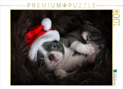 CALVENDO Puzzle Boston-Terrier | 1000 Teile Lege-Größe 64 x 48 cm Foto-Puzzle für glückliche Stunden