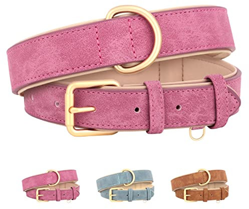 Beirui Collier pour chien en cuir rembourré souple et confortable et robuste avec matériel en alliage de qualité supérieure pour la promenade quotidienne, rose, tour de cou 25-33 cm