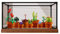 Acrylic Display Clear Collector's Box, Compatible with Lego 10329 Mini Potted Plants Building Block Model Dust Storage Box Display Box (Box Only) (Style 1)