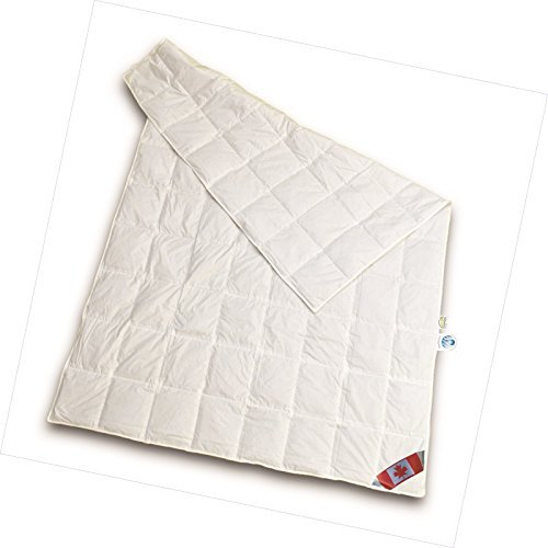 Schäfer Canadische Daune Sommerdecke 100% Daunen Kassettensteppdecke canadische Daune 100% Natur Daunendecke 155x220 cm direkt vom Bettenfachgeschäft