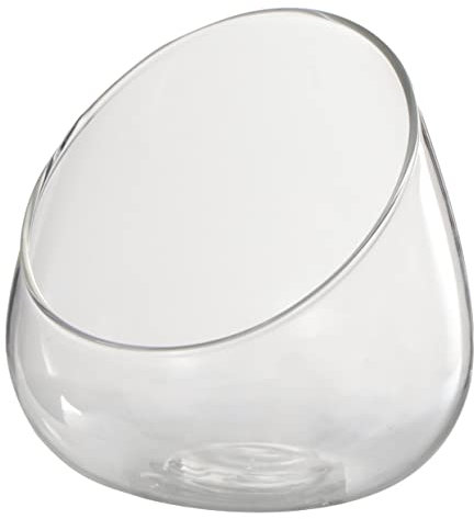 Yardwe 1 STK Glasvase Mikrolandschaftsflasche Klarer Blasenpflanzer Terrarienschale Aus Glas Klare Kugelvase Hochzeitsdekoration Blasenschale Aus Glas Glaskugel Schräg Luft Terrarium Fase