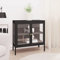 Xichuzi Aparador, Aparador Cocina, Aparadores para Salon, Mueble Salon, Mueble Cafetera, Mueble Buffet, Alacenas Y Vitrinas, de Acero y Vidrio Negro 70x35x70 cm