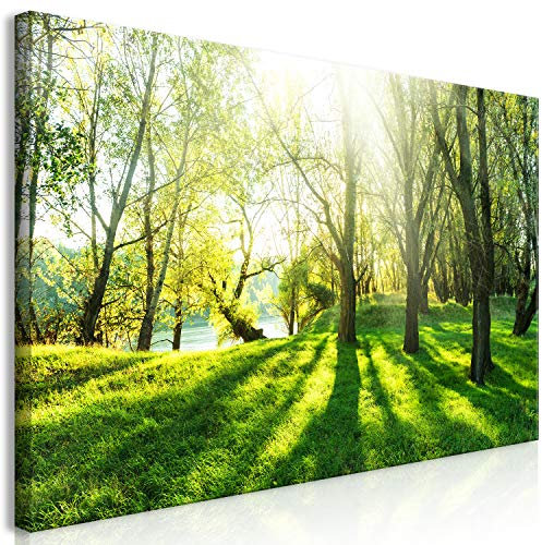 B&D XXL Wandbild Mega XXXL BäumeEinteiliger XXL-Format Kunstdruck zur Selbstmontage Leinwandbilder moderne Bilder DIY Wanddekoration Wohnung Deko Natur c-B-0053-ak-e