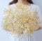 Oning Schleierkraut getrocknet,Natürlich Gypsophila Trockenblumen, über 2000 Blütenknospe Echt Trockenblumenstrauß für Hochzeit Brautsträuße Vasen Pampasgras Deko ( ca. 43 cm )