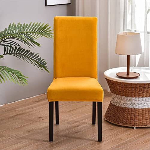 Morbuy Einfarbig Stuhlhussen Set Stretch Stuhlbezug für Esszimmerstühle, Samt Velvet Waschbarer Stuhlhussen Schwingstühle Stuhlüberzug für Haus Hotel Hochzeit Partys (4er Set,Gold)