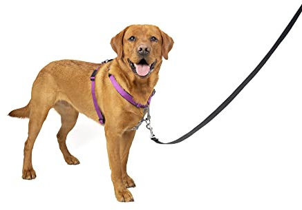 PetSafe 3-in-1 Hundegeschirr, Anti-Zieh, Hundegeschirr für Autogurt, Hundegeschirr Auto, Anti-Zug Hundegeschirr, Reflektoren, Geschirrgriff, Größe L; schwarz, blau, lila