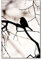 banjado Glas Magnettafel (40 x 60cm) - Magnetwand Glas - Magnetpinnwand als Memoboard - Pinnwand Magnettafel Küche, Büro, Kinderzimmer - Früher Vogel