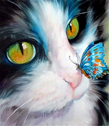 YEESAM ART Neuheiten Malen nach Zahlen Erwachsene Kinder, Blau Katze & Schmetterling Nettes Kätzchen 40x50 cm Leinen Segeltuch, DIY ölgemälde Weihnachten Geschenke