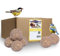 Lyra Pet® | 100 Gourmet Meisenknödel schalenfrei ohne Netz à 80 g | Energiespender für Wildvögel | Fetthaltiges Wildvogelfutter Ohne Schalen | Kraftspendendes Fettfutter | Vogelfutter Ganzjährig