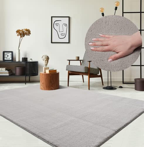 the carpet Relax kuscheliger Kurzflor Teppich, Anti-Rutsch Unterseite, Waschbar bis 30 Grad, Super Soft, Felloptik, Sand, 200 x 280 cm