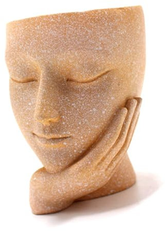 SUPYINI Linda maceta facial, pequeña maceta facial, maceta facial de resina, maceta facial para mujer, maceta facial
