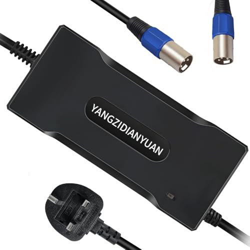 YANGZIDIANYUAN 29.4V 4A Charger for 24V Lithium Battery Pack, Built-in Fan and Multiple Security Protections, with XLR-3 Pin Plug
