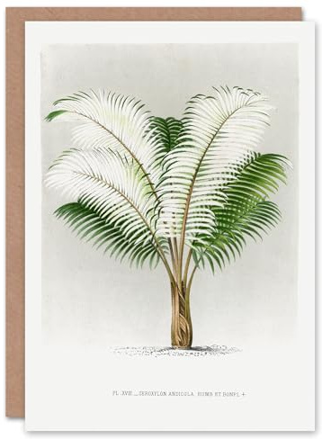 Artery8 Oswald de Kerchove Art Card Ceroxylon Anticola Palm Tree