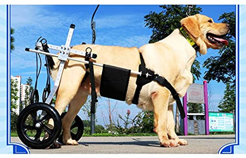 Rollstuhl für mittelgroße Hunde Haustier-Rollstühle für Hinterbeine, Beinstütze für Hund/Katze/Hund/Welpen Hinterbeinrehabilitation