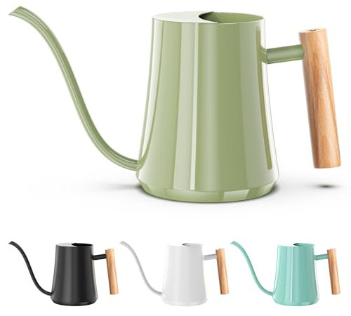 Gießkanne für Zimmerpflanzen, 1000 ml, Salbeigrün, für den Innenbereich, Metall, kleine Wasserkanne mit langem Auslauf für Haus, Bonsai, Pflanzen, Garten, Blume, dekorativ