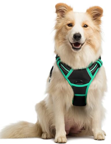 rabbitgoo Hundegeschirr Mittelgroße Hunde, Anti Zug Geschirr mit Kontrolle, No Pull Verstellbar Hundegeschirr Grosse Hunde, Atmungsaktiv Reflexstreifen Brustgeschirr Sichere Führung Schwarz+Grün M