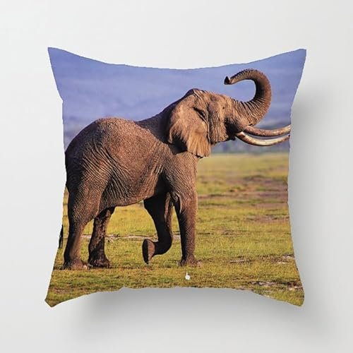 Kissenbezug 40x40 Elefant Sofakissen Baumwoll und Leinen Dekokissen Quadrat Kissenbezüge mit Reißverschluss Outdoor Kissen- für Wohnzimmer Auto Schlafzimmer