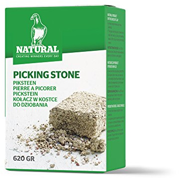 Natural Pickstein 620 g