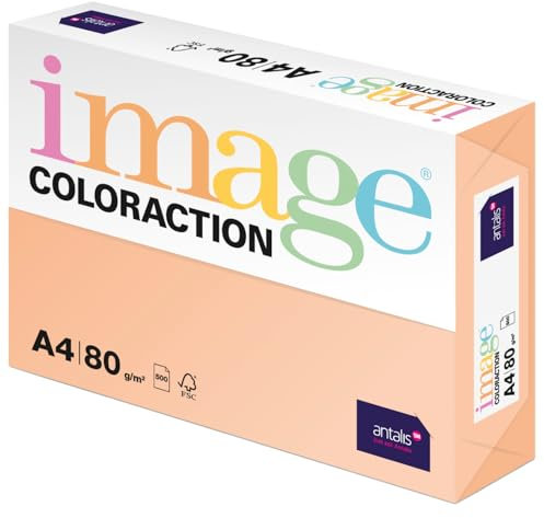 Image Coloraction Savana - farbiges Kopierpapier - DIN A4, 210 x 297 mm, 80 g/m² - buntes, holzfreies Druckerpapier für Kopierer - 500 Blatt - Salm