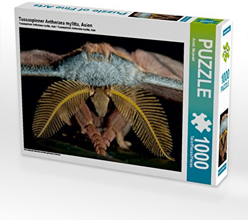 CALVENDO Puzzle Tussaspinner Antheraea mylitta, Asien | 1000 Teile Lege-Größe 64 x 48 cm Foto-Puzzle für glückliche Stunden