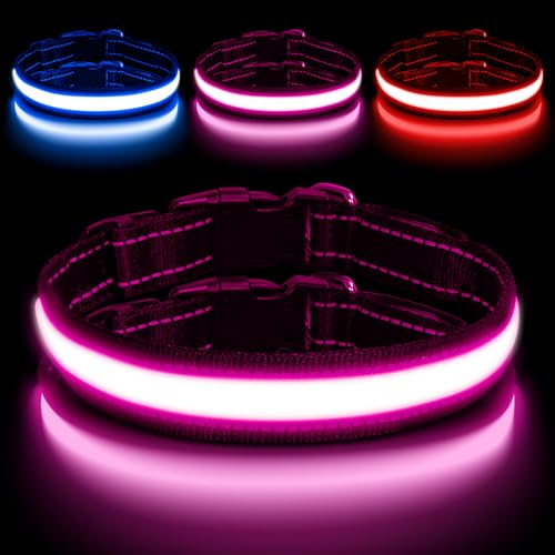 AUAUY Leuchthalsband Hunde, Leuchtet im Dunkeln, 3 Beleuchtungsmodi, Bunt-M | Einstellbar Sicherheit Hundehalsband, USB Aufladbar, Wasserdichtes, LED Leuchthalsband, für Kleine Mittlere Große Hunde