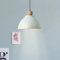 Lightbox moderne Hängelampe in Hellgrün - 120 cm, Ø 38 cm - skandinavische Pendelleuchte mit kürzbarem Kabel - E27, max. 60 W - Metall/Holz aus Kautschukbaum