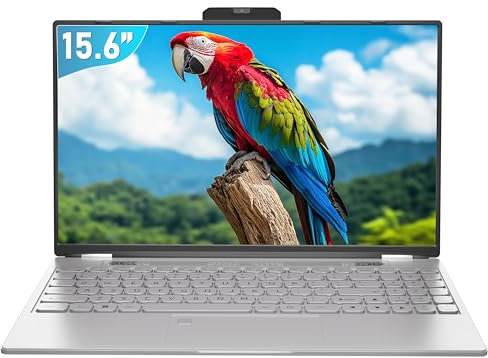 Fsjun 15.6'' Silver Laptop, 12th Gen Alder Lake N95 CPU(Up to 3.4GHz), 16GB DDR4 RAM, 1TB SSD, Win 11 Pro, Office 2019, FHD IPS Screen, Dual Band WiFi, with Removable Webcam (Silver, 16G+1TB)
