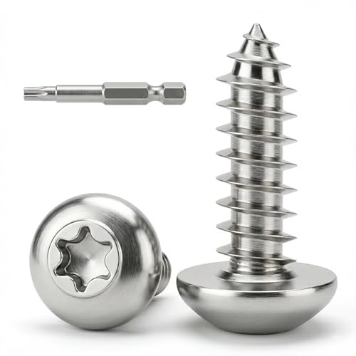 Dayalo 30 Stück Blechschrauben Torx M4 x 12 mm, Selbstschneidende Schraube Edelstahl A2 V2A, Holzschrauben Linsenkopf Vollgewinde mit Bit