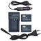 DSTE® 2-Pack Ricambio Batteria BXM-10 + DC175E Caricabatteria Compatibile per XiaoYi BXM-10,XiaoYi YI-M1 Mirrorless