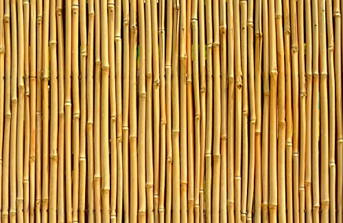 Papier Peint Photo INTISSÉ-BAMBUS-400x260 cm-(4834AE)-Nature Bois Arbres Modèle Mur de Pierre Mur en Bois Colle Inclus Mural Décor Motif Poster Géant Stickers Muraux Optique Moderne Fond Effet