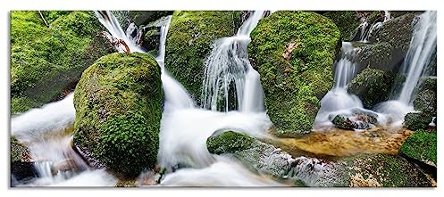 Pixxprint Glasbild Panorama, Wandbild aus Echtglas, Gertelbach im Schwarzwald, 120x50 cm, inkl. Aufhängung und Abstandshalter