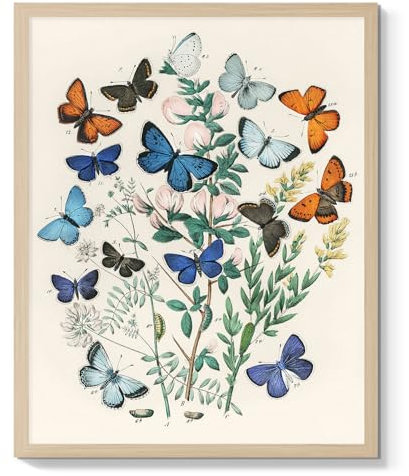 C8BUSIS Kunstdruck auf Leinwand, Motiv: Schmetterling, bunt, Wanddekoration, Vintage-Schmetterlinge, Kunstwerk, antikes Bild, gerahmt, Gemälde, Aquarell-Kunstdruck für Bauernhaus, Schlafzimmer