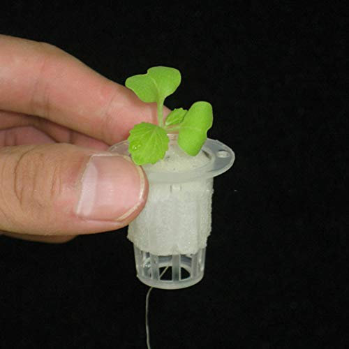 Hydrokultur-Netztopf, Erdloser Kulturpflanzen-Blumenzuchtkorb für Hydrokultur-Gemüse Im Innengewäch für Shaus (White)