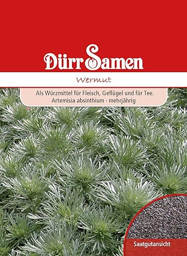 Wermut Samen Wermutsamen ca 800 Korn Küchenkräuter Kräutersamen Saatgut Balkon Garten Hochbeet Kübel Dürr Samen