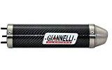 GIANNELLI HRD SONIC 50 99/03 EEC E13 CARBON SILENC ER