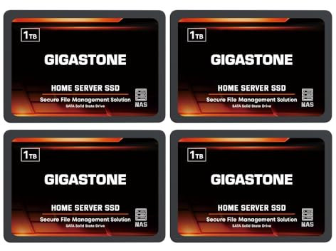 Gigastone Serveur SSD 1To (Lot de 4) NAS SSD Cache 24h/24, 7j/7 TLC Haute Endurance Business Secure Personal Cloud Créatif Professionnel Réseau Attaché Stockage Raid 2,5 SATA Disque Dur Interne SSD