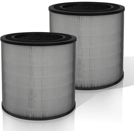 iAmoy Lot de 2 filtres de rechange FY0910 pour Philips série 900 AC0950 AC0951, H13 True HEPA avec charbon actif pour un air pur, remplace FY0910/30