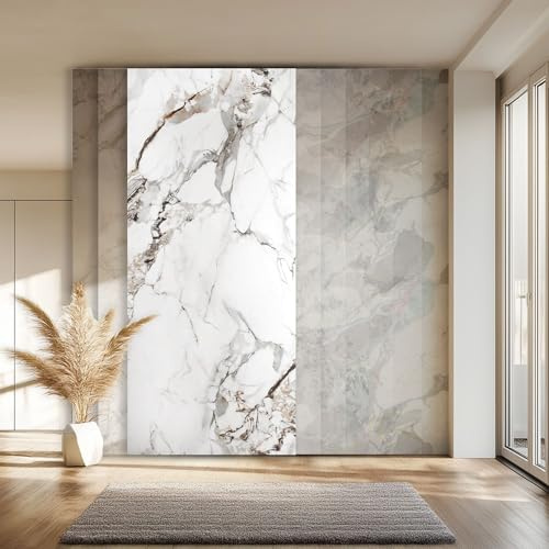 HEXIM Marmorplatten Optik 1 Stück 280x122 cm SPC Kunststoff Innen & Außenbereich Granit Steinoptik - Duschrückwand Küchenrückwand Spritzschutz Wandplatte (3,42 m² 2012B) A-Serie