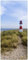 Wallario Selbstklebende Türtapete Am Strand von Sylt Leuchtturm auf der Düne Panorama - Türposter 93 x 205 cm Abwischbar, rückstandsfrei zu entfernen